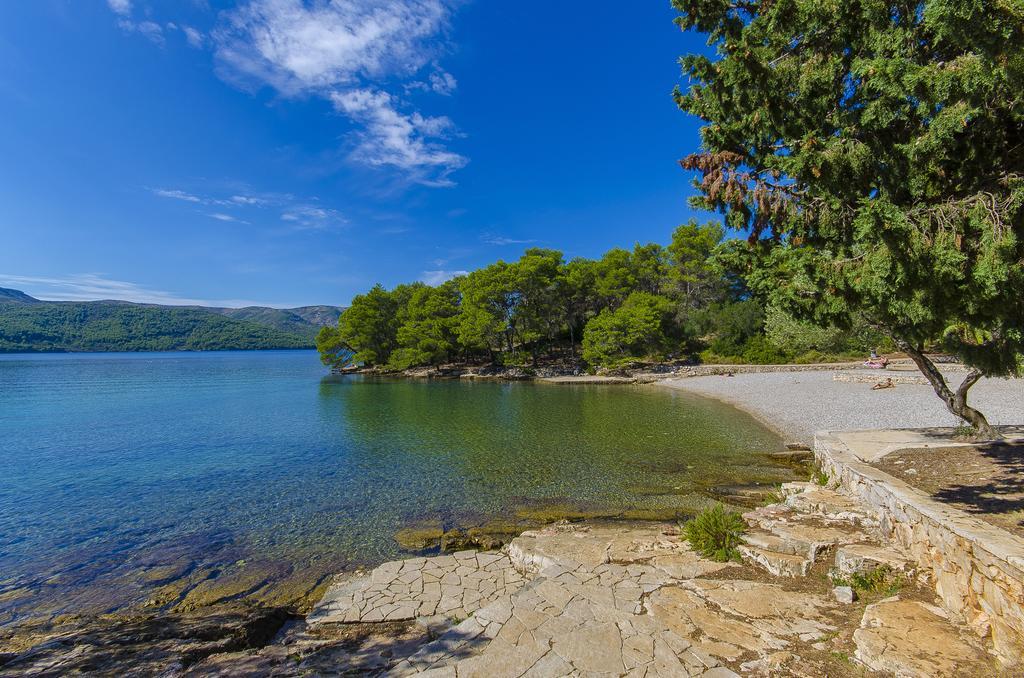 House Oliva With Private Pool And Large Garden Villa Stari Grad  Exteriör bild
